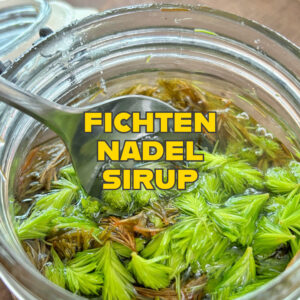 Read more about the article Fichtennadel Sirup